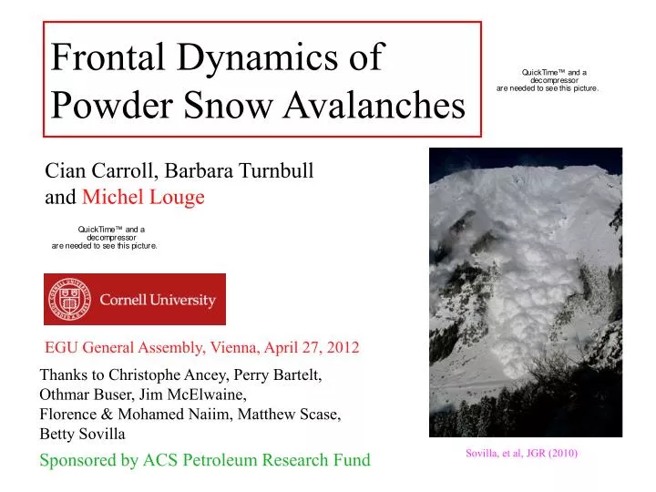 frontal dynamics of powder snow avalanches