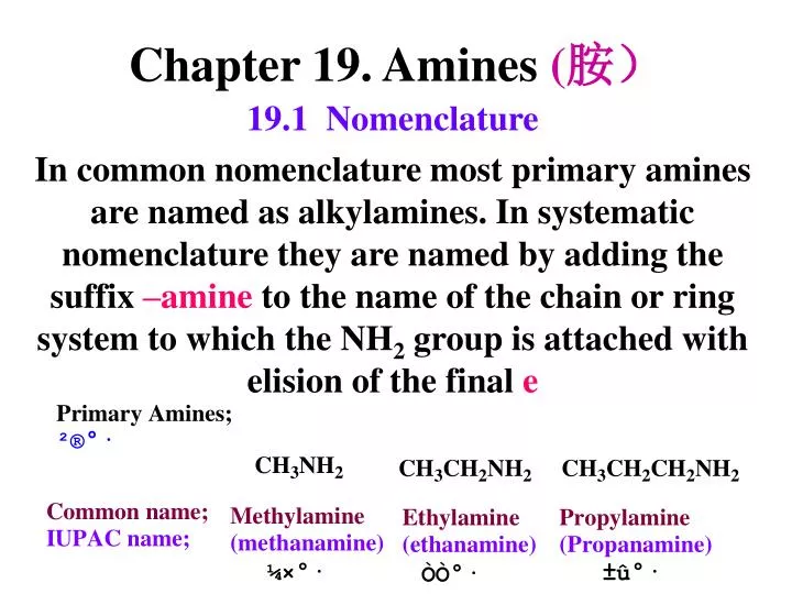 chapter 19 amines