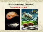 第九章 软体动物门（ Mollusca ） - slide 1