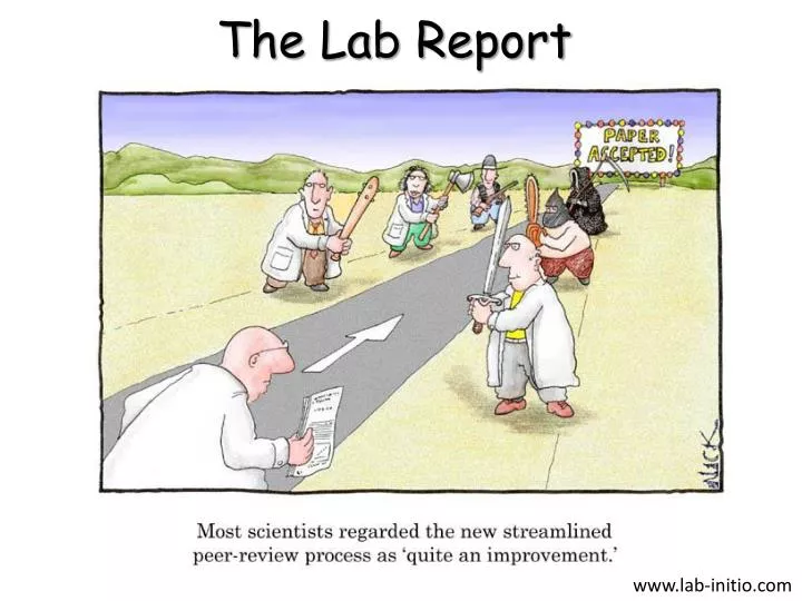 the lab report