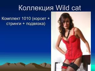 wild cat