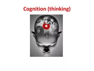 Cognition (thinking)