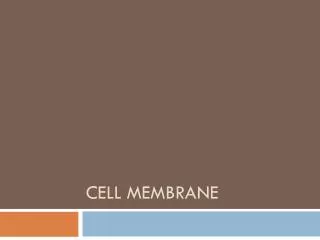 Cell membrane