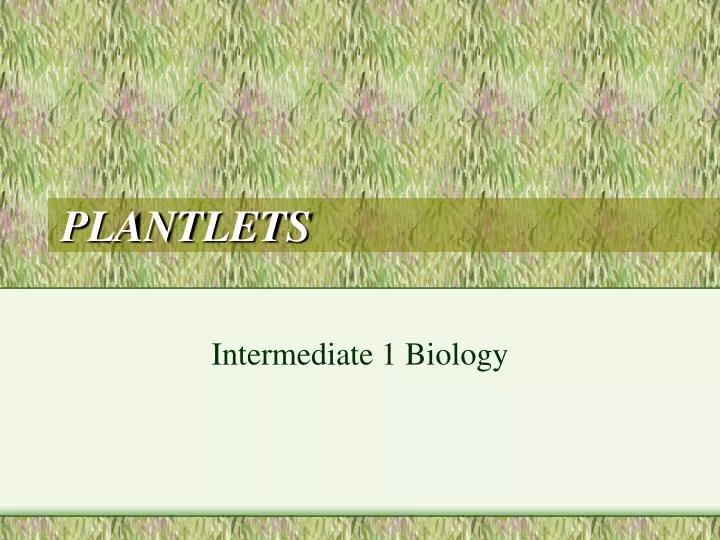 plantlets