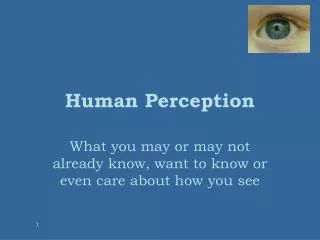 Human Perception