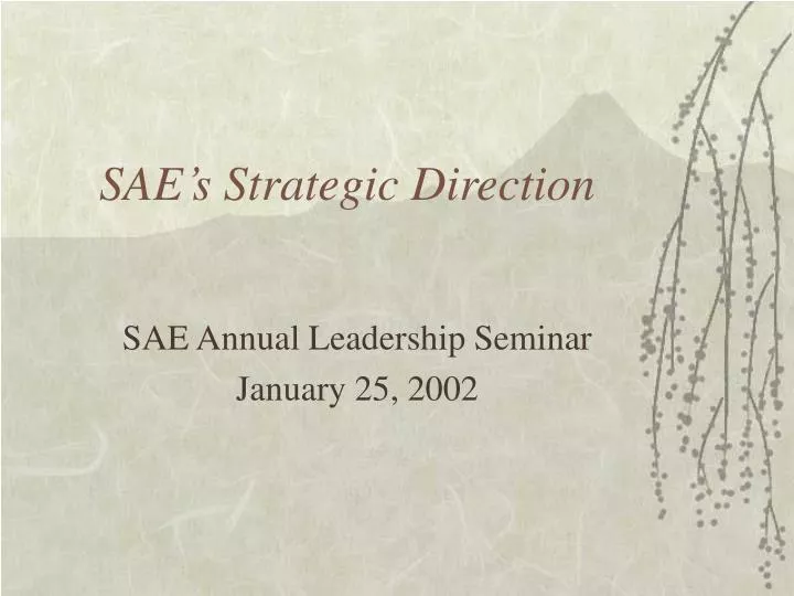 sae s strategic direction