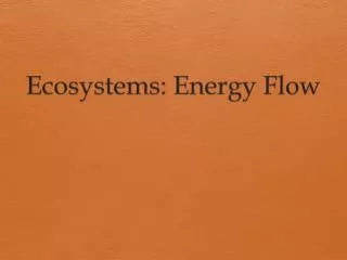 Ecosystems: Energy Flow