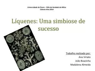 l quenes uma simbiose de sucesso