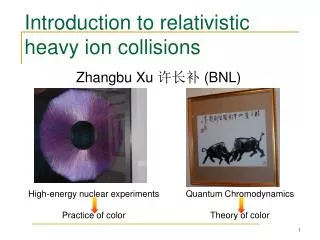 Introduction to relativistic heavy ion collisions
