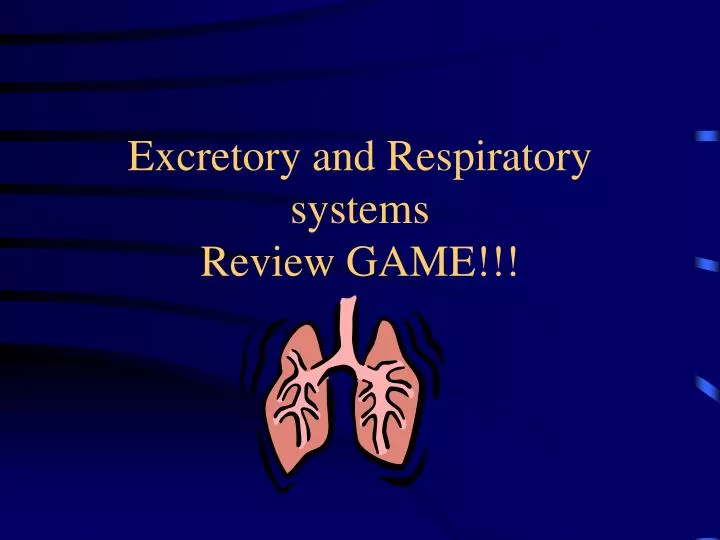excretory and respiratory systems review game
