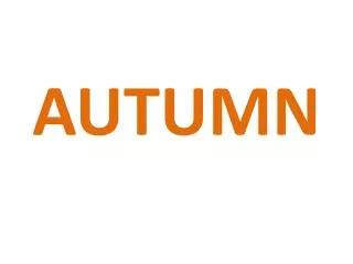 autumn