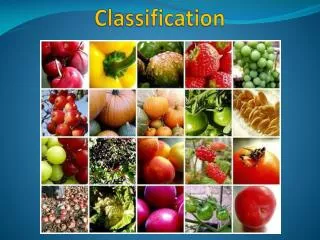 Classification