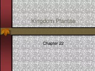 Kingdom Plantae