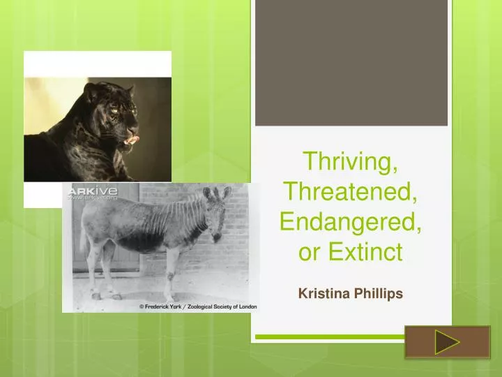 thriving threatened endangered or extinct