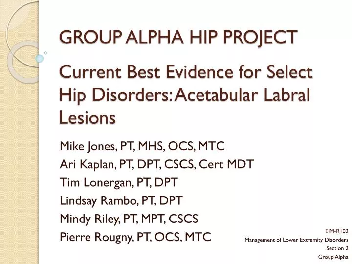 group alpha hip project current best evidence for select hip disorders acetabular labral lesions