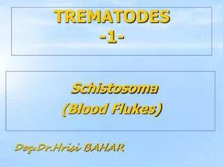 TREMATODES -1-