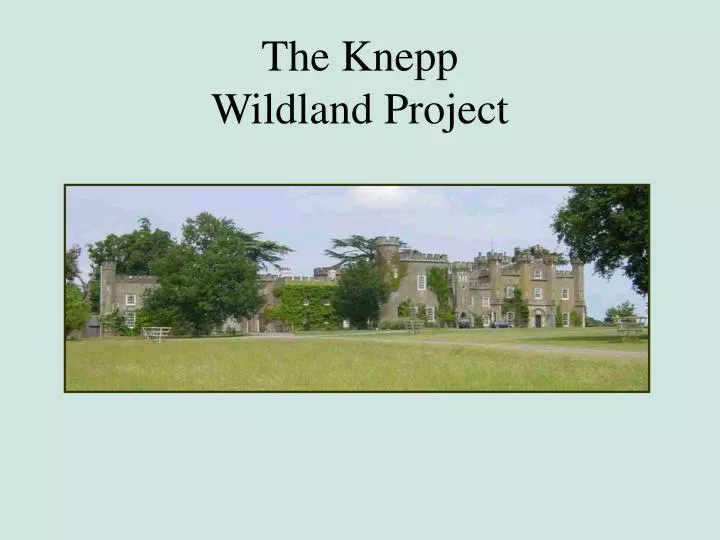 the knepp wildland project