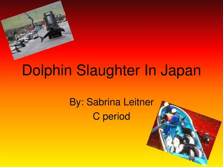 dolphin slaughter in japan