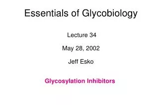 Essentials of Glycobiology Lecture 34 May 28, 2002 Jeff Esko