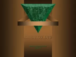 gm s t co ltd