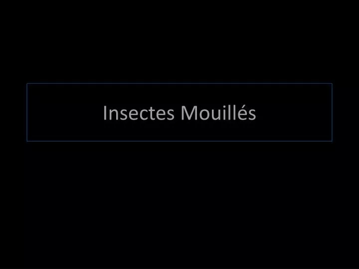insectes mouill s