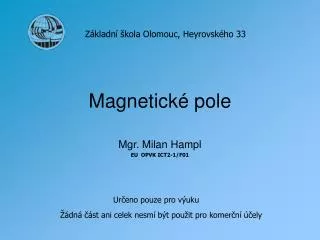 magnetick pole