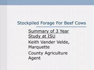 Stockpiled Forage For Beef Cows