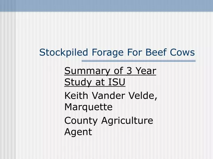 stockpiled forage for beef cows