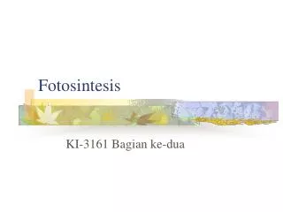 fotosintesis