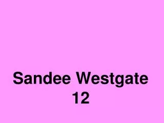 sandee westgate 12