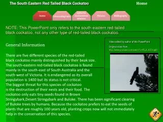 General Information There are five different species of the red-tailed