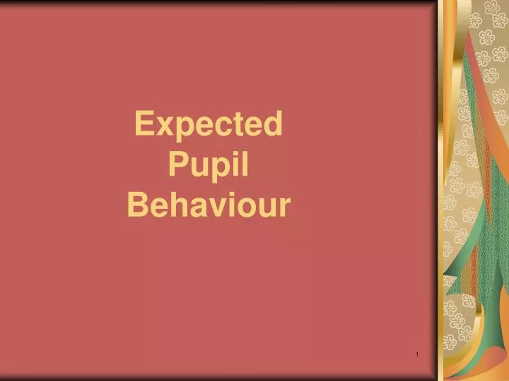 expected pupil behaviour