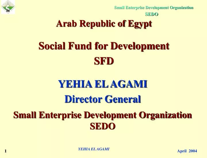 yehia el agami director general small enterprise development organization sedo