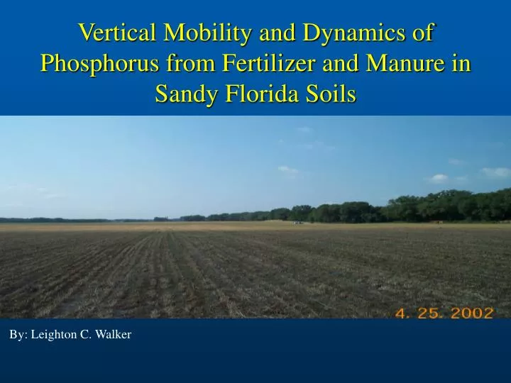 vertical mobility and dynamics of phosphorus from fertilizer and manure in sandy florida soils
