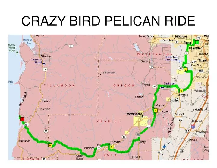 crazy bird pelican ride