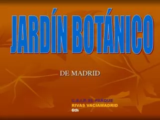 de madrid