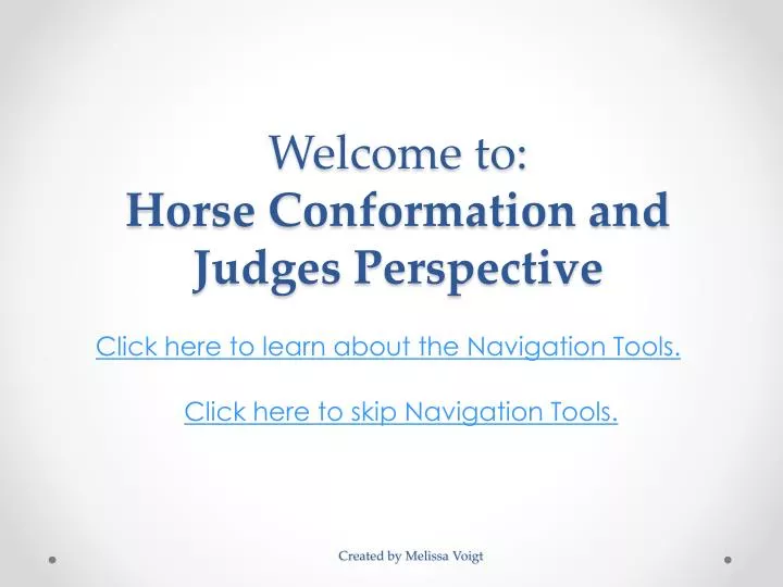 welcome to horse conformation and judges perspective