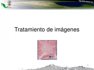 tratamiento de im genes