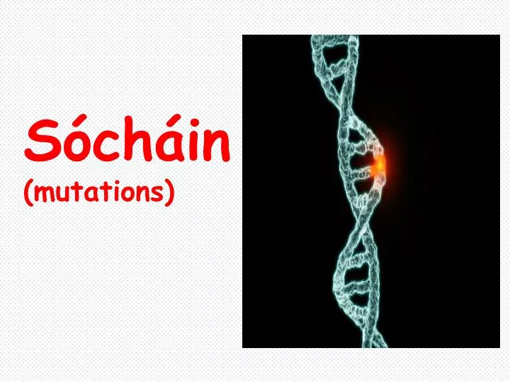 s ch in mutations