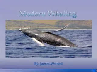 Modern Whaling