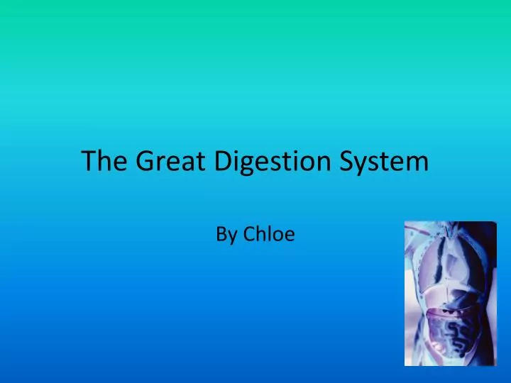 the great digestion system