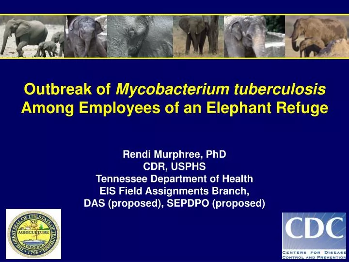 outbreak of mycobacterium tuberculosis among employees of an elephant refuge