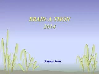 Brain-A-Thon 2014