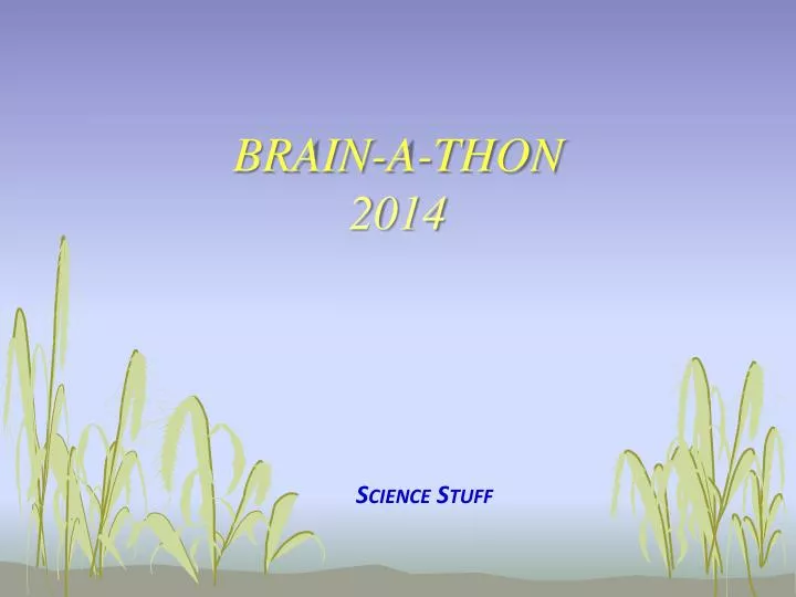 brain a thon 2014