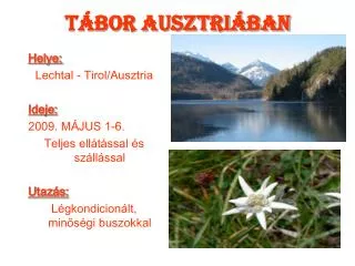 t bor ausztri ban