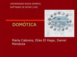 dom tica