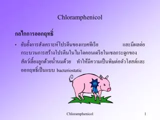 chloramphenicol