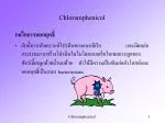 Chloramphenicol - slide 1