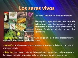 PPT - LOS SERES VIVOS PowerPoint Presentation, Free Download - ID:2361967