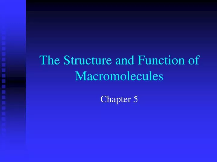 the structure and function of macromolecules